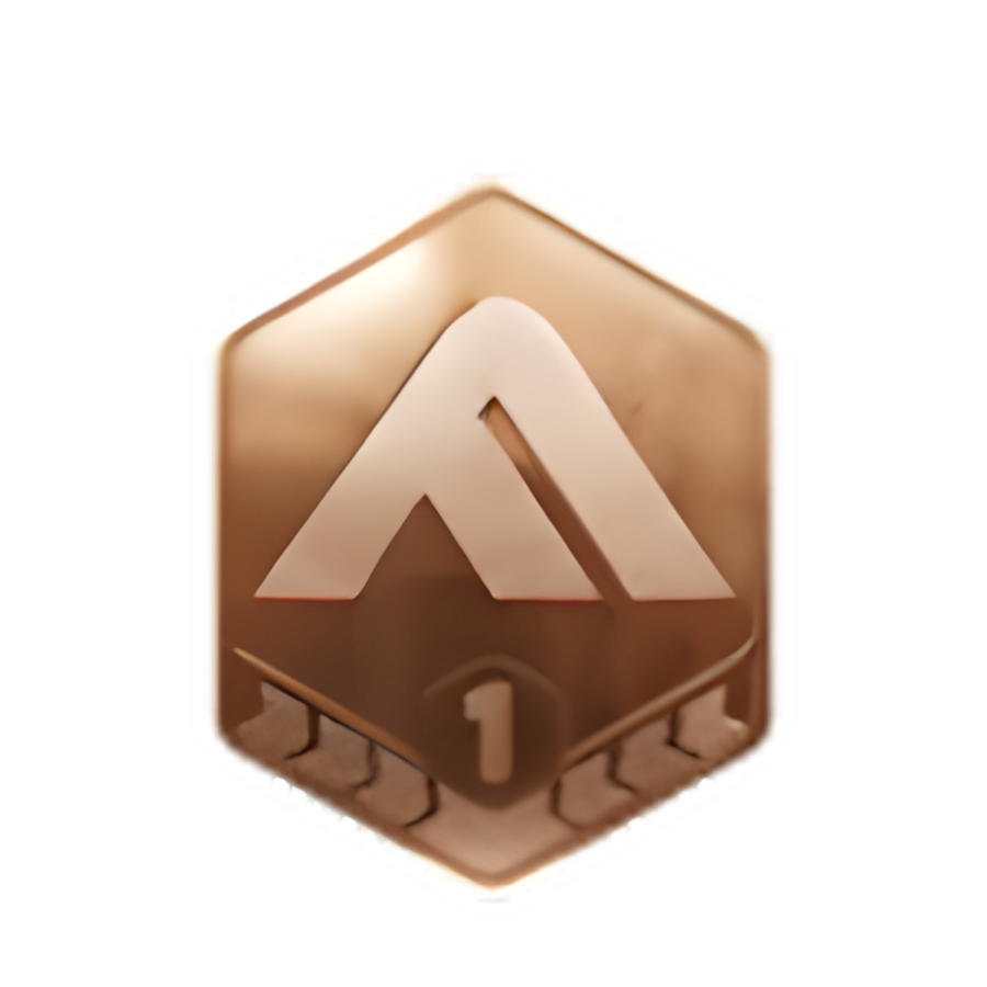 Bronze 1