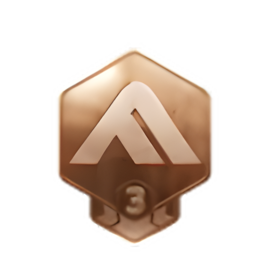 Bronze 3