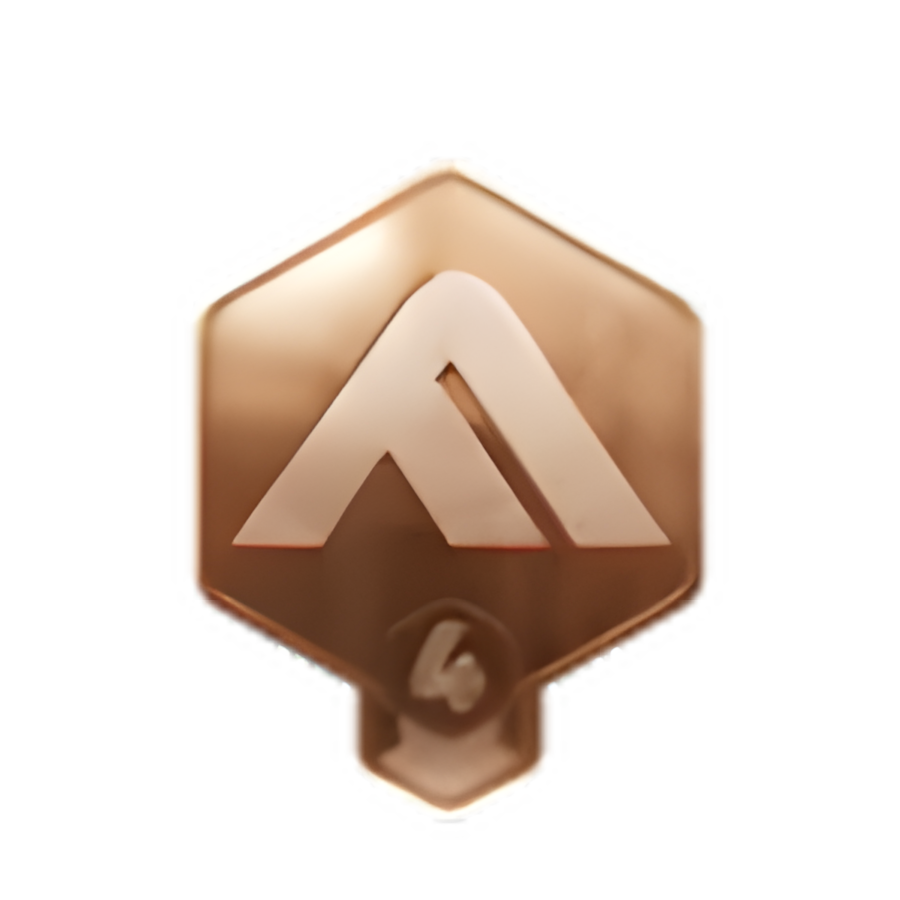Bronze 4